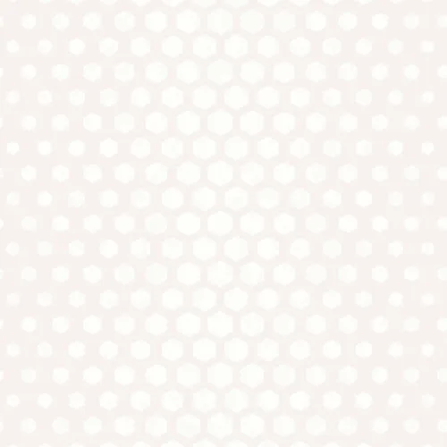 SK Filson White Hexagon Ombre Wallpaper